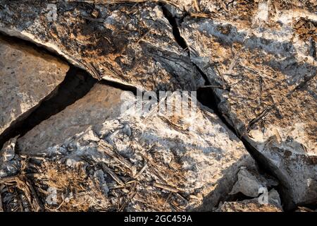 Tiefe Risse im Boden als Symbol für heißes Klima und Dürre. Stockfoto