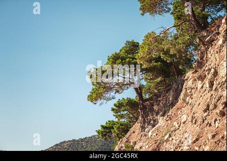 Berge, Felsen, große Steine und Bäume in der Umgebung von Balaklava, Sewastopol und Admiralty Beach in der Nähe des Schwarzen Meeres Stockfoto