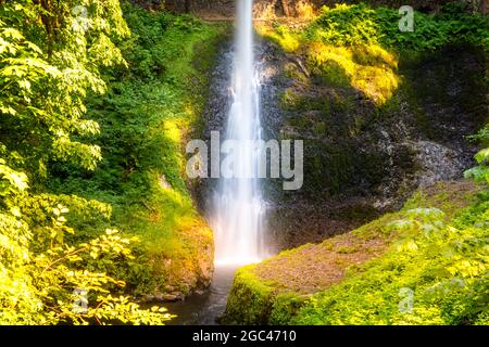 Drake Falls im Silver Falls State Park, Oregon Stockfoto