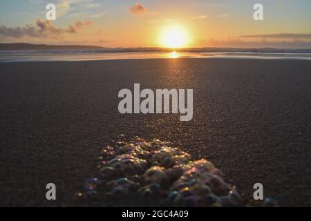 Cornwall, Großbritannien. August 2021. Sun ging am Freitag, 6. August 2021, über St Ives Bay, Cornwall, Großbritannien, unter Credit: Craig Cresswell/Alamy Live News Stockfoto