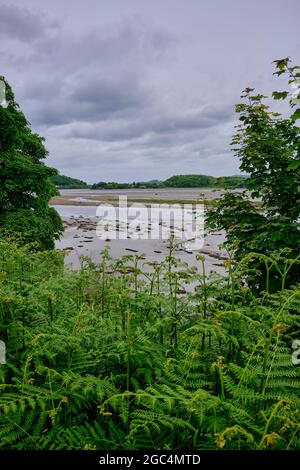 Vom Crinan zum Cairnbaan-Fußweg, mit Blick nach Norden über die Mündung des Loch Crinan zur Crinan Ferry Stockfoto