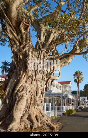 Russell Waterfront Promenade, Bay of Islands, Far North, Neuseeland Stockfoto