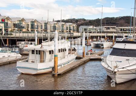 Anlegeboote in der Alexandra Walk Marina am North Esk River - Launceston, Tasmanien, Australien Stockfoto