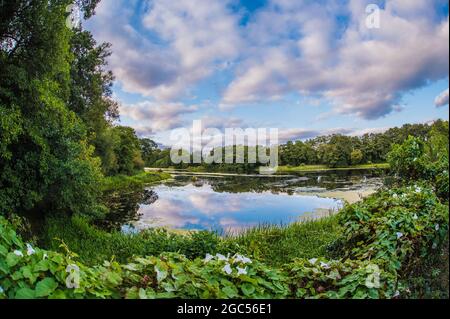 River Arrow In Der Nähe Des Upper Bittell Reservoir, Barnt Green, Worcestershire Stockfoto