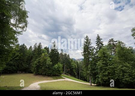 Bild einer Skipiste im Sommer in Bled, Slowenien, in Europa, in den alpen. An einem warmen Nachmittag. Stockfoto