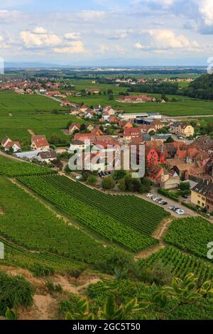 Blick auf das Dorf Kaysersberg zwischen den Weinbergen im Elsass im Sommer Stockfoto