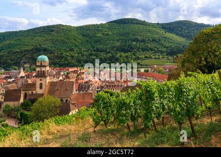 Blick auf das Dorf Kaysersberg zwischen den Weinbergen im Elsass im Sommer Stockfoto