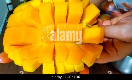Perfekte Mango-Scheibe in Würfel geschnitten. Weibliche Hände halten frische, saftige Mango Stockfoto