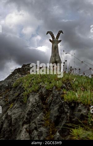 Holzskulpturen in Solda (BZ), Südtirol, Italien Stockfoto