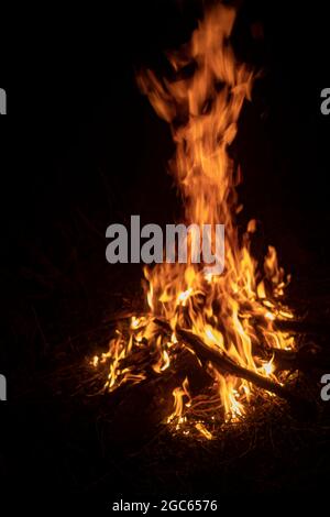 Feuer im Dunkeln. Flamme aus brennendem Holz. Feuerzungen in der Nacht. Stockfoto