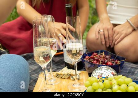 Die Mädchen halten eine Brille in den Händen. Freunde trinken Wein bei einem Picknick. Mädchen in der Natur trinken Alkohol. Sommerurlaub. Frauen in Kleidern sind Hol Stockfoto