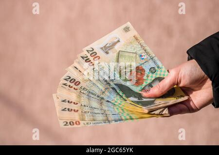 Flacher Fokus einer Hand mit 200 rumänischen Leu-Banknoten auf rosafarbtem Hintergrund Stockfoto