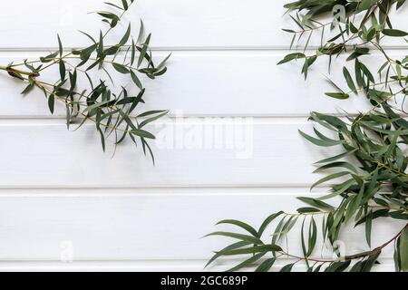 Grüne Blätter der Agonis flexuosa auf weißem Holztisch, kopieren Raum. Stockfoto