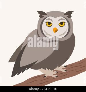 Niedliche Eule Vektor Cartoon Illustration. Wilder Waldvögel, der auf einem Ast sitzt. Zotteliges erwachsenes Raubtier. Isoliert. Waldtier einfacher Charakter für e Stock Vektor