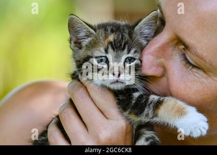 Sieversdorf, Deutschland. August 2021. Eine Frau kuschelt mit einem etwa sieben Wochen alten Kätzchen. Jedes Jahr am 08. August wird der Internationale Cat Day, auch World Cat Day genannt, gefeiert. Damit sollen alle Katzen und auch die Katzenarten in den Fokus der Aufmerksamkeit gerückt werden. Quelle: Patrick Pleul/dpa-Zentralbild/dpa/Alamy Live News Stockfoto