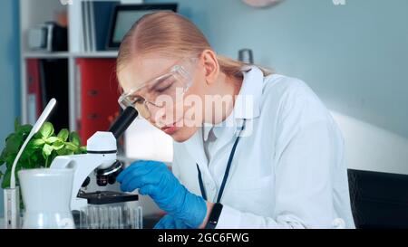 Medizinischer Forschungswissenschaftler in Sicherheitsgläsern, der mit Pipette Probe aus dem Reagenzglas nimmt und im hellen Labor unter dem Mikroskop untersucht Stockfoto