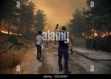 Milas, Türkei. August 2021. IMM (Istanbul Metropolitan Municipality) Teams arbeiten daran, dass die Waldbrände, die im Stadtteil Manavgat von Antalya und in den Bezirken Marmaris und Bodrum von Mugla ausbrechen, am sechsten Tag weitergeführt werden. Das İBB-Team arbeitet in der Region unter schwierigen Bedingungen mit 273 Mitarbeitern, 44 Fahrzeugen und Ausrüstung. Ein Team von 8 Personen, darunter 6 Tierärzte, ist in der Region, um unsere lieben Freunde am Leben zu retten und die Verletzten zu behandeln. Das Team von IMM, Mugla Bodrum, hat gestern auch bei den Bränden um das Thermalkraftwerk Kemerkoy eingegriffen und die Arbeiten gehen weiter Stockfoto