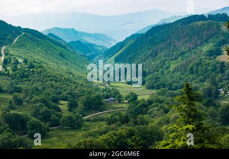 Blick auf Cadair Idris von Coed y Brenin. Stockfoto