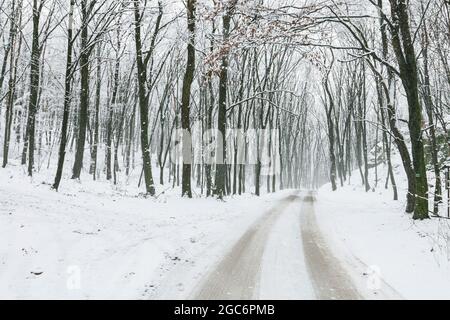 Schneesturm und Nebel im Winterwald. Straße durch den Wald. Stockfoto