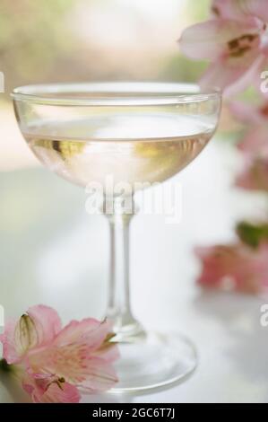 Sekt in Glas Stockfoto