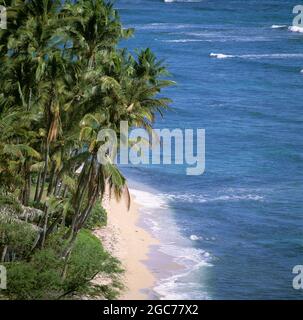 Hawaii. Oahu. Tropischer Strand. Stockfoto