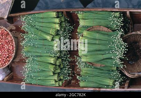 Thailand. Bangkok. Damnoen Saduak Floating Market. Nahaufnahme von essbar blühenden chinesischen Lauch. Stockfoto