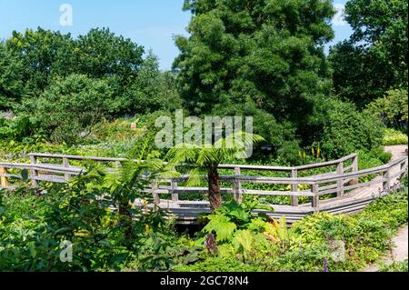 The Robinson Garden, RHS Hyde Hall, Essex. Stockfoto