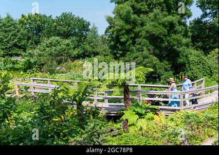 The Robinson Garden, RHS Hyde Hall, Essex. Stockfoto