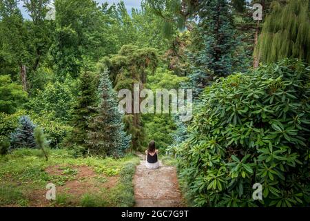 Junge Frau sitzt mit Blick auf schönen grünen Wald, Park im Sommer. Umweltschutzkonzept. Batumi Botanical Garden, Georgia. Stockfoto