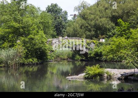 Sommerzeit an der Gapstow Bridge, 1895, von Howard & Caudwall, die über den Teich im südlichen Central Park in der Nähe von Midtown in Manhattan, NYC, geht. Stockfoto