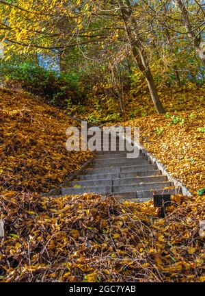 Gassen im Sofievsky Arboretum oder Sofiyivsky Park in Uman, Ukraine, an einem sonnigen Herbsttag Stockfoto