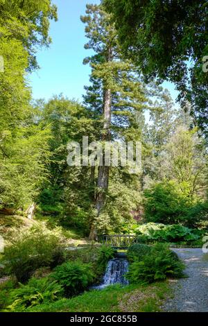 Hotel Endsleigh, Milton Abbot, Tavistock PL19 0PQ Stockfoto