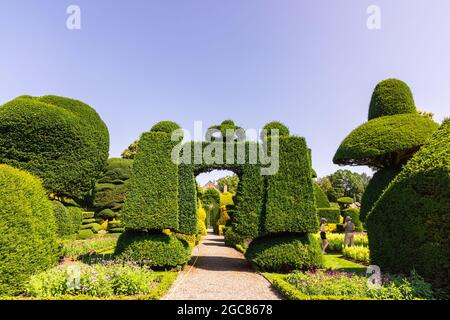 Fantastisch geformte Pflanzen im ältesten Topiarpark der Welt, der Levens Hall in Cumbria, Großbritannien. Stockfoto
