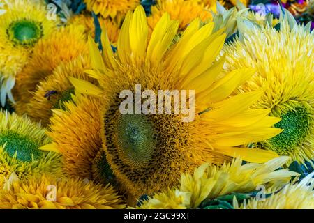 Blumen auf dem Bauernmarkt Stockfoto