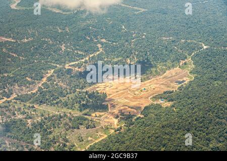 Regenwald-Clearance, Sarawak, Malaysia Stockfoto