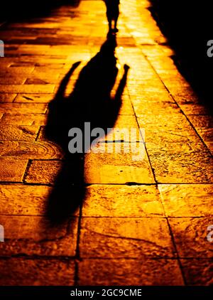 Schatten eines Mannes während der goldenen Stunde Stockfoto
