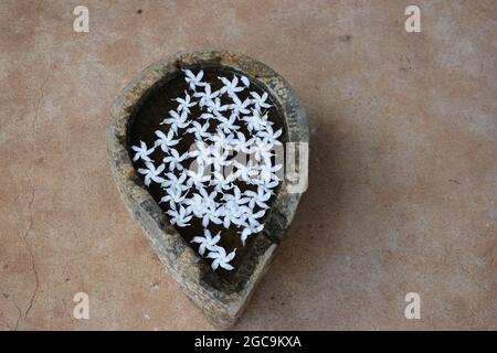 Ein Zementtopf mit Wasser und weißen Blüten. Armeeverordnung Lager Dombagoda. Sri Lanka. Stockfoto
