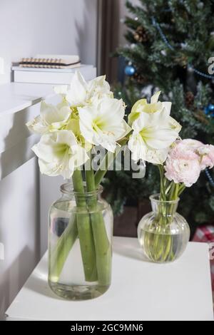 Ein Bouquet von rosa persischen Butterblumen in einer Glasvase und zwei eingewickelte Geschenke auf einem weißen Tisch vor einem falschen weißen Kamin. Bouquet von weißem amary Stockfoto