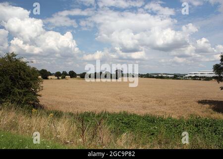 Theobalds Park, Waltham Cross, wurde im August 2021 als neues Sunset Film Studio in Hertfordshire vorgeschlagen (an der A10, direkt an der M25, Abfahrt 25) Stockfoto