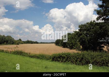 Theobalds Park, Waltham Cross, wurde im August 2021 als neues Sunset Film Studio in Hertfordshire vorgeschlagen (an der A10, direkt an der M25, Abfahrt 25) Stockfoto