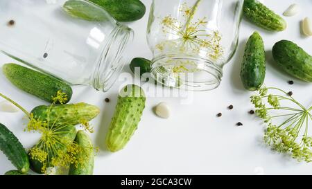 Zwei Gläser, frische Gurken, Dill, Knoblauch und schwarzer Pfeffer auf einem weißen Teller, Draufsicht, flaches Lay, Copy space.Ingredients for Canning, Pickling or fermenti Stockfoto