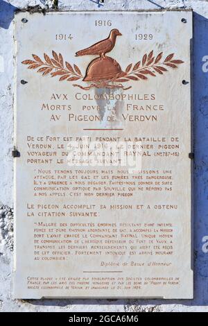 Gedenktafel für die Brieftauben in Fort Vaux (Fort de Vaux) in Vaux-Devant-Damloup (Meuse), Frankreich Stockfoto