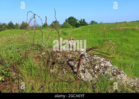 Stacheldraht an den Ruinen von Fort Vaux (Fort de Vaux) in Vaux-Devant-Damloup (Meuse), Frankreich Stockfoto