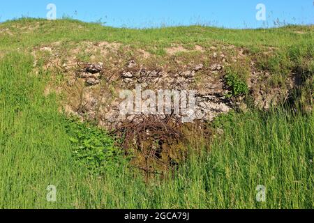 Stacheldraht an den Ruinen von Fort Vaux (Fort de Vaux) in Vaux-Devant-Damloup (Meuse), Frankreich Stockfoto