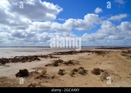 Am Outback Lake Tyrrell in der Nähe des Sea Lake in Victoria landen karge und trockene Sand- und Salzstrandflächen Stockfoto