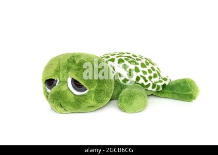 Bild von grünen Schildkröte Puppe isoliert auf weißem Hintergrund. Tierpuppen. Stockfoto