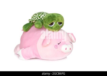 Bild von Schildkröte Puppe auf der Rückseite Schwein Puppe isoliert auf weißem Hintergrund. Tierpuppen. Stockfoto