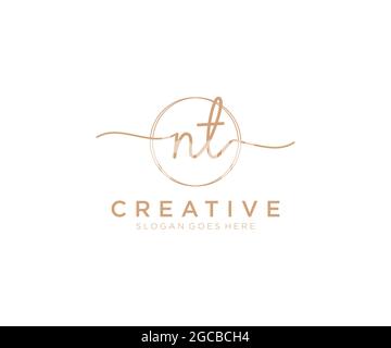 NT feminine Logo Schönheit Monogramm und elegantes Logo-Design, Handschrift Logo der ursprünglichen Signatur, Hochzeit, Mode, Blumen und botanischen mit kreativen Stock Vektor