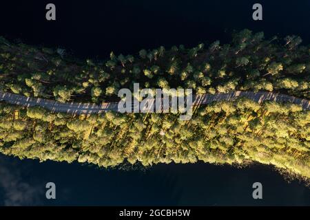 Draufsicht auf die kurvenreiche Punkaharju-Bergkammstraße in der Saimaa-Region in Ostfinnland Stockfoto