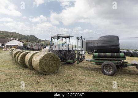 Goat's Path, Bantry, Cork, Irland. August 2021. John O'Sullivan wickelt Silageballen auf der Farm seines Nachbarn Tim Joe O'Mahony on the Goat's Path, Bantry, Co. Cork, Irland. - Bild; David Creedon / / Alamy Live News Stockfoto